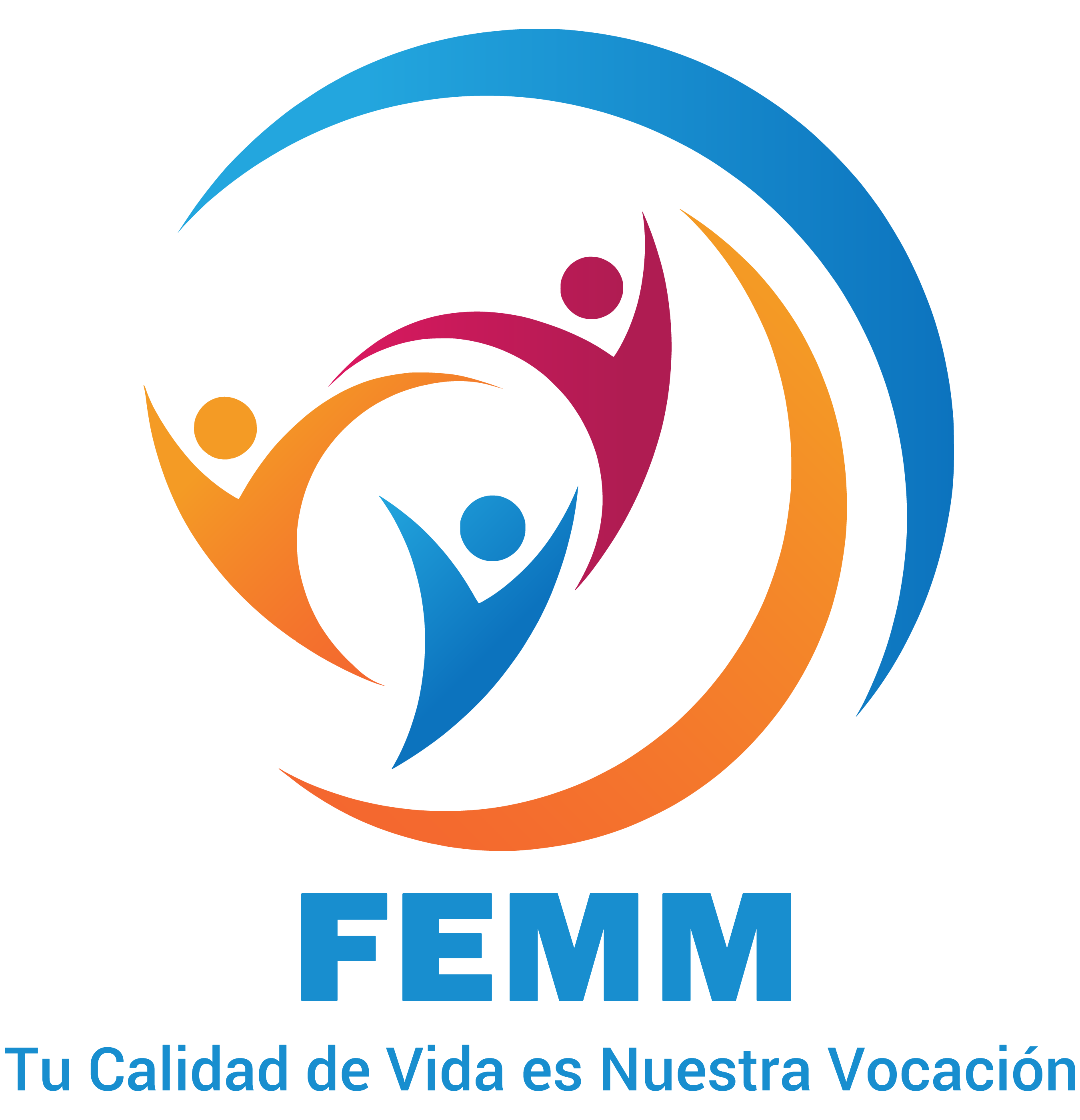 Logo FEMM